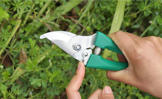 Ten-piece gardening tool set - NOMAN STORE LLC