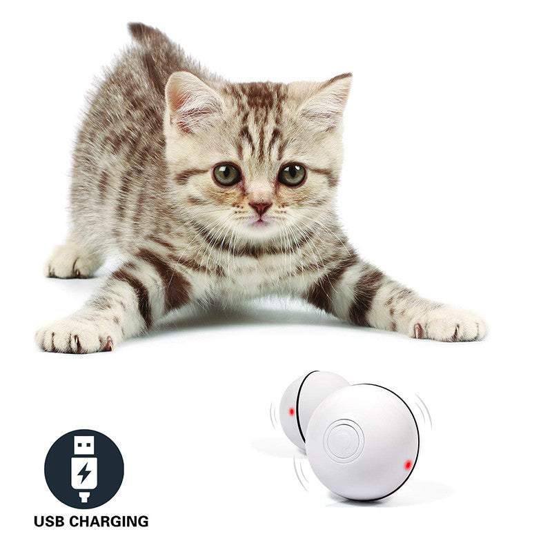 LED Laser Electronic Rolling Pet Funny Cat Toy Ball - NOMAN STORE LLC