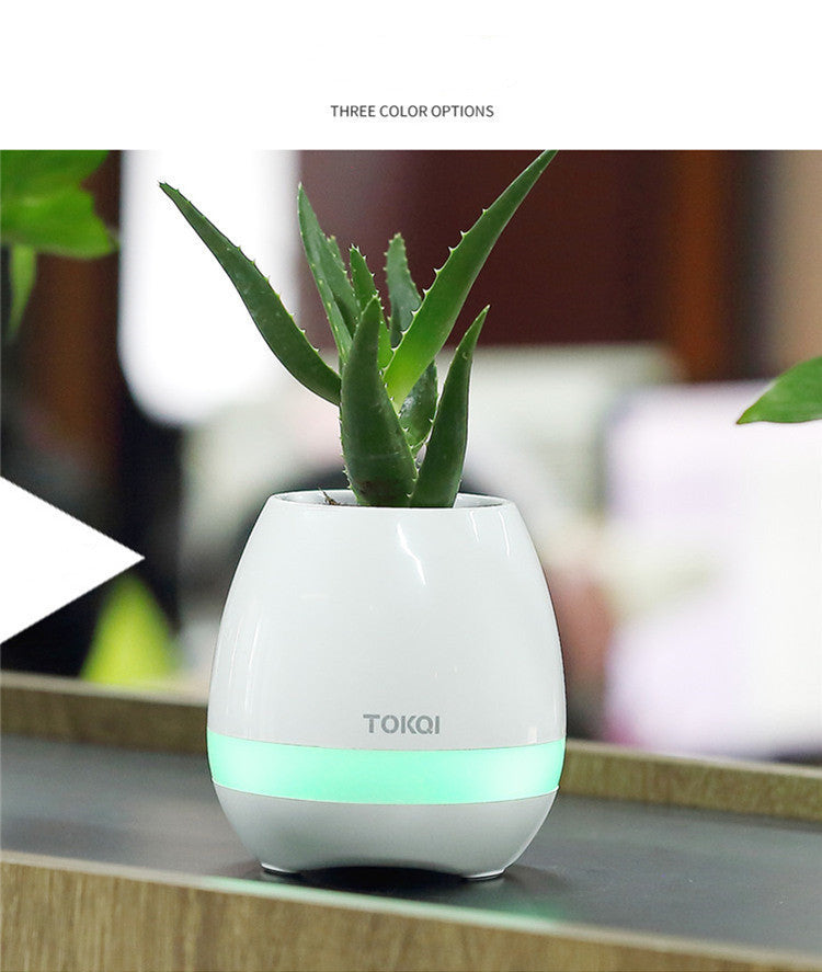 Touch-sensitive music vase desktop audio - NOMAN STORE LLC