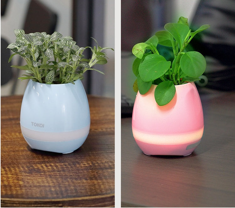 Touch-sensitive music vase desktop audio - NOMAN STORE LLC