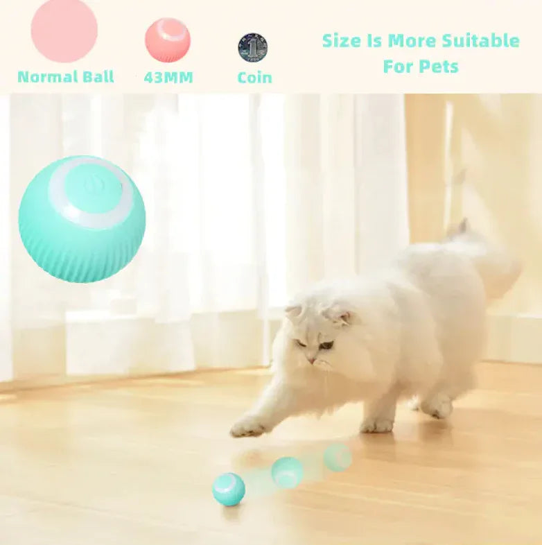 Smart Cat Ball Toys - Noman Store LLC