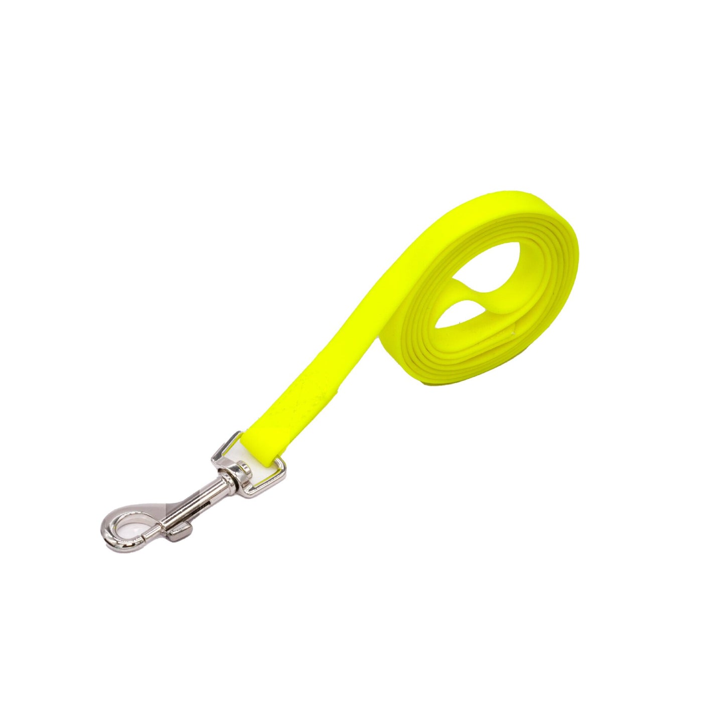 EVERYDAY LEAD — for the daily walk, nothing fancy