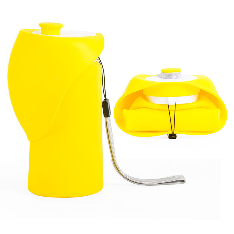 FOLD AND GO — for walks when you travel light