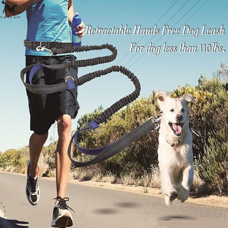 Amazon direct pet supplies multi-function running reflective pull dog leash double elastic dog leash traction - Noman Store LLC