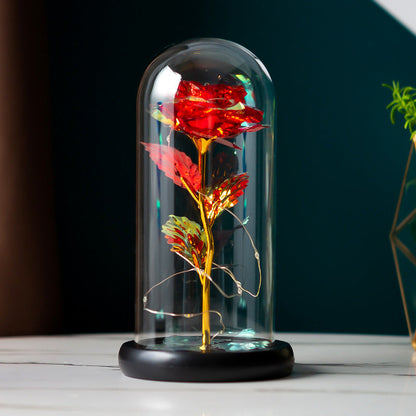 Preserved Flower Glass Cover Gold Foil Rose Flower Mothers Day Valentines Day Birthday Gift Gift Decoration Cross-Border Amazon - NOMAN STORE LLC