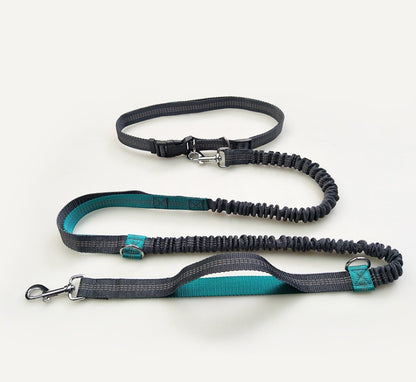 Amazon direct pet supplies multi-function running reflective pull dog leash double elastic dog leash traction - Noman Store LLC