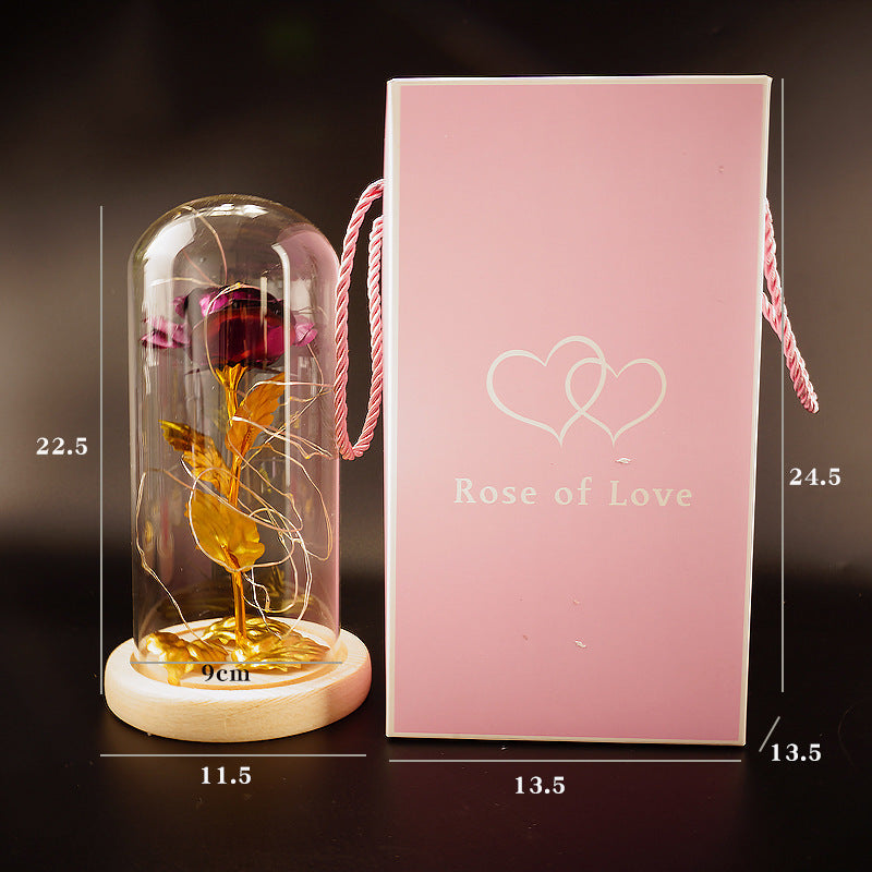 Preserved Flower Glass Cover Gold Foil Rose Flower Mothers Day Valentines Day Birthday Gift Gift Decoration Cross-Border Amazon - NOMAN STORE LLC