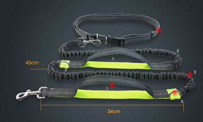 Amazon direct pet supplies multi-function running reflective pull dog leash double elastic dog leash traction - Noman Store LLC