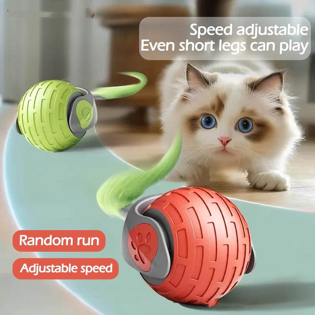 New Interactive Cat Toys Ball Auto Electric Rolling Ball Toys For Cat Kitty Pets Smart Automatic Teaser USB Rechargeable Cat Toy Pet Products - Noman Store LLC