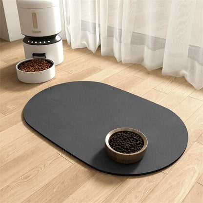 Water-absorbing quick-drying mat