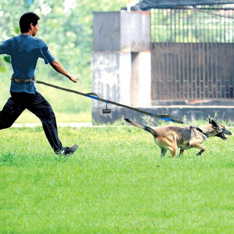 Amazon direct pet supplies multi-function running reflective pull dog leash double elastic dog leash traction - Noman Store LLC