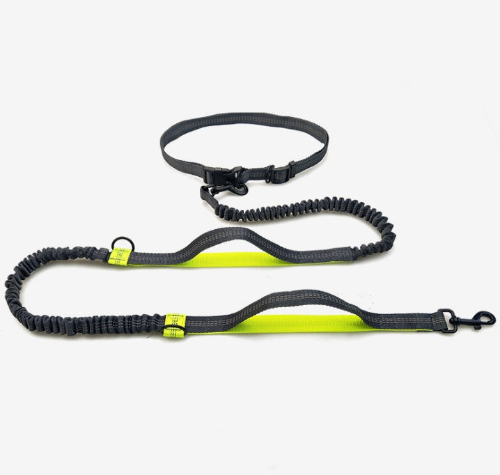 Amazon direct pet supplies multi-function running reflective pull dog leash double elastic dog leash traction - Noman Store LLC