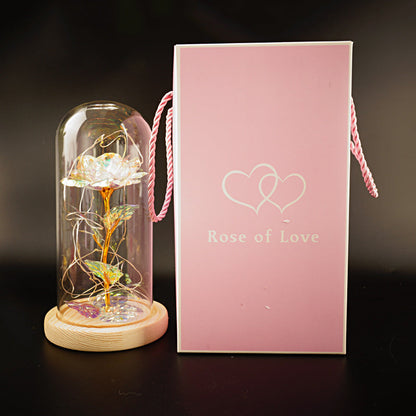 Preserved Flower Glass Cover Gold Foil Rose Flower Mothers Day Valentines Day Birthday Gift Gift Decoration Cross-Border Amazon - NOMAN STORE LLC