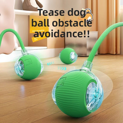 Automatic Electric Dog Toy Ball - Noman Store LLC