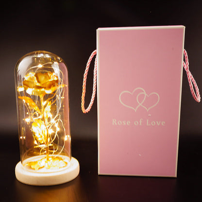 Preserved Flower Glass Cover Gold Foil Rose Flower Mothers Day Valentines Day Birthday Gift Gift Decoration Cross-Border Amazon - NOMAN STORE LLC