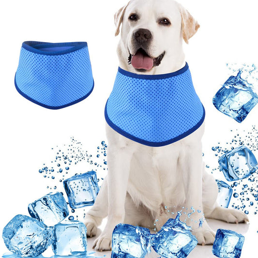 COOL COLLAR — for pets that overheat on summer walks