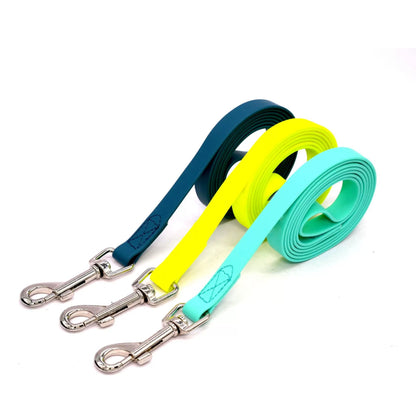 EVERYDAY LEAD — for the daily walk, nothing fancy