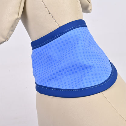 COOL COLLAR — for pets that overheat on summer walks