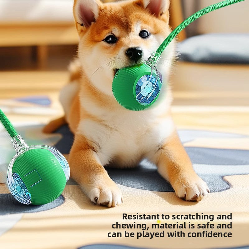Automatic Electric Dog Toy Ball - Noman Store LLC