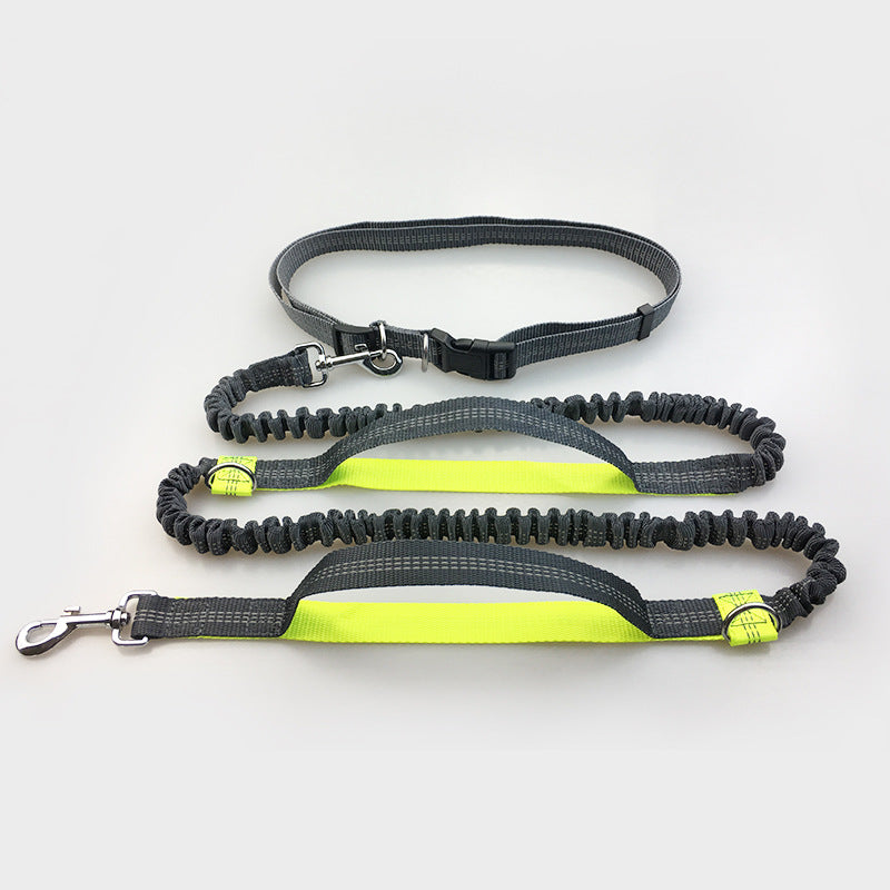 Amazon direct pet supplies multi-function running reflective pull dog leash double elastic dog leash traction - Noman Store LLC