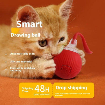 Interactive Cat Toy Ball Super Drive Cat Rolling Ball - Noman Store LLC