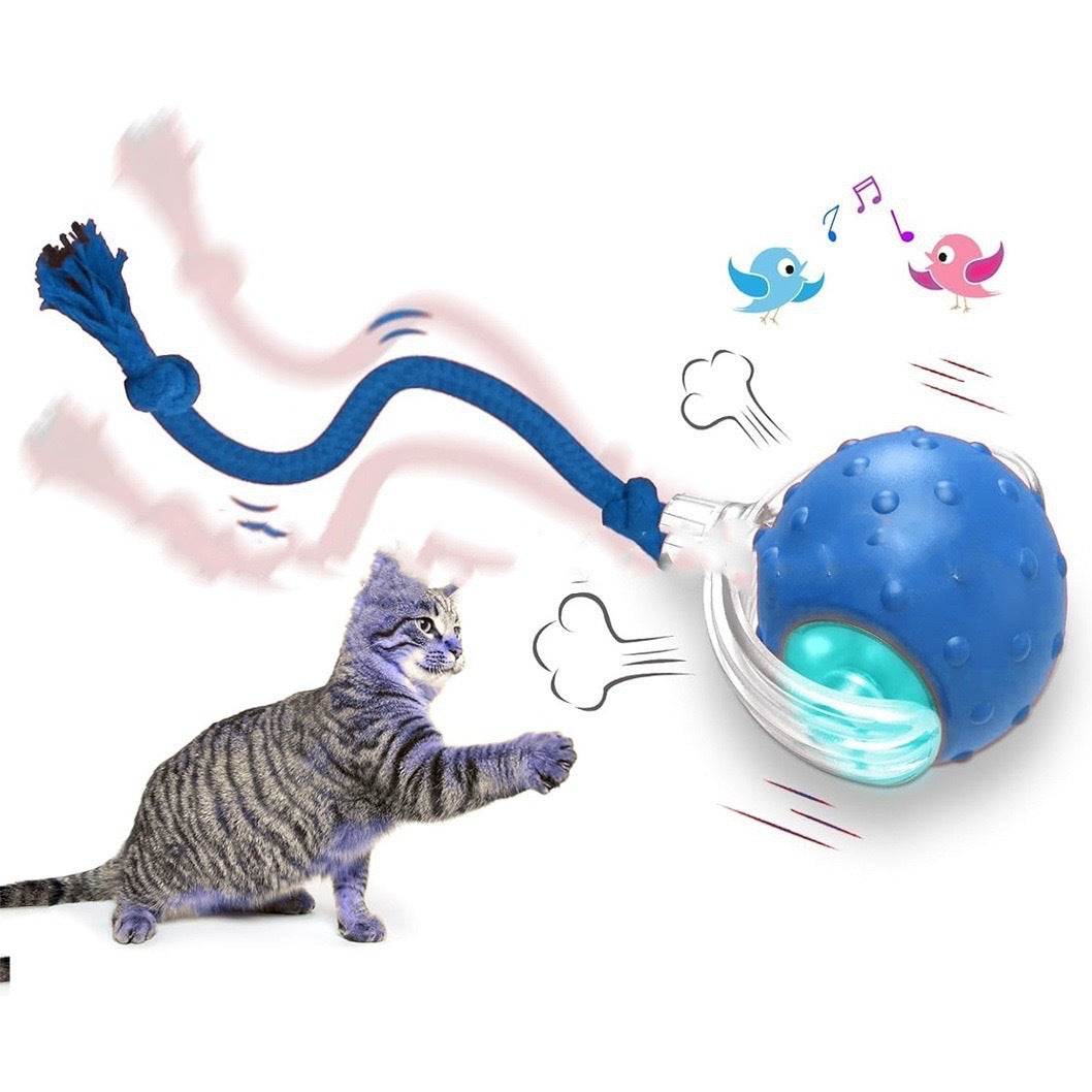 Interactive Cat Toy Ball Super Drive Cat Rolling Ball - Noman Store LLC