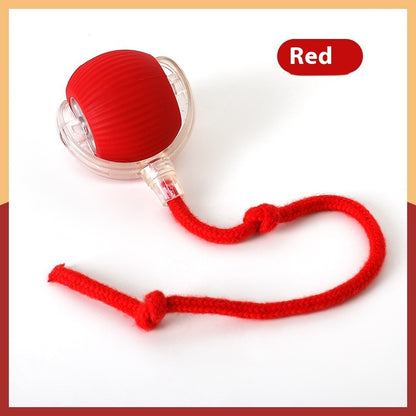 Interactive Cat Toy Ball Super Drive Cat Rolling Ball - Noman Store LLC
