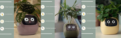 Smart Planter Endless Fun Over 49 Rich Expressions 7 Smart Sensors And AI Chips Make Raising Plants Easy And Fun aa56fa92-e2bb-4690-b429-93771e5c516c