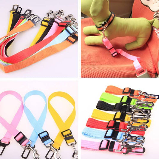 Fixed Strap Polyester Dog Strap Dog Leash Dog Leash - NOMAN STORE LLC