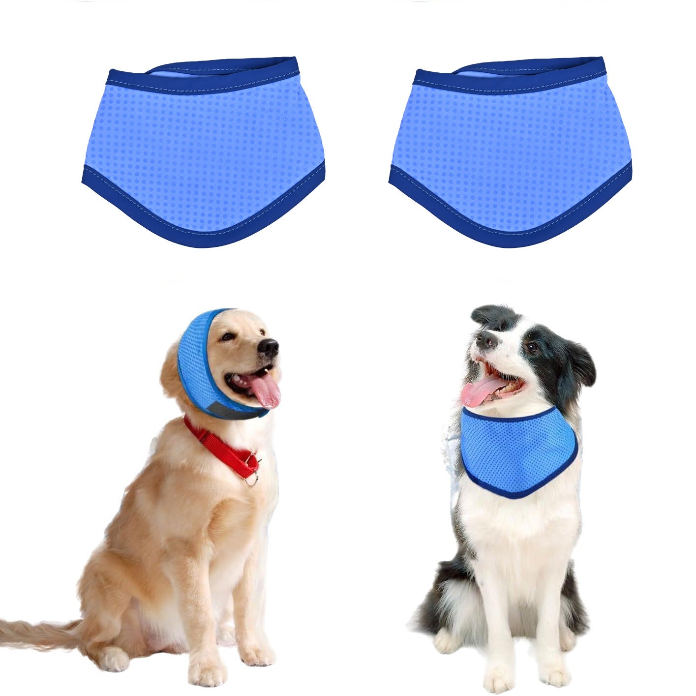 COOL COLLAR — for pets that overheat on summer walks