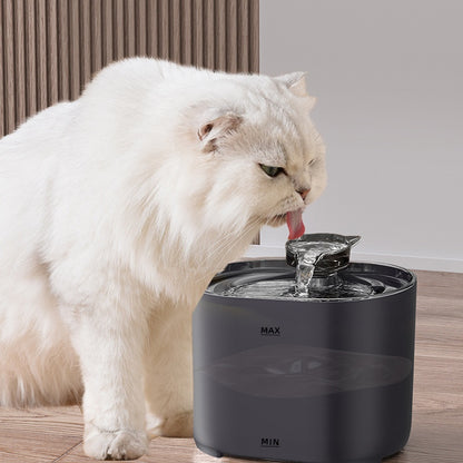 Automatic pet water fountain