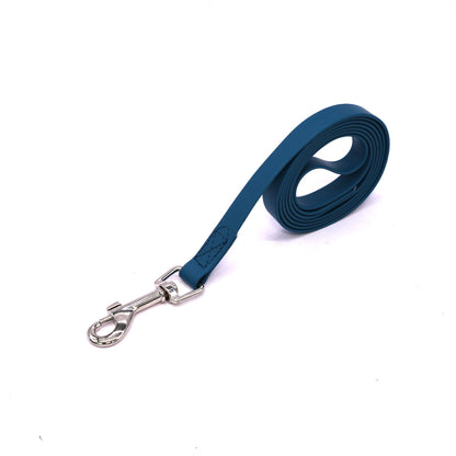 EVERYDAY LEAD — for the daily walk, nothing fancy