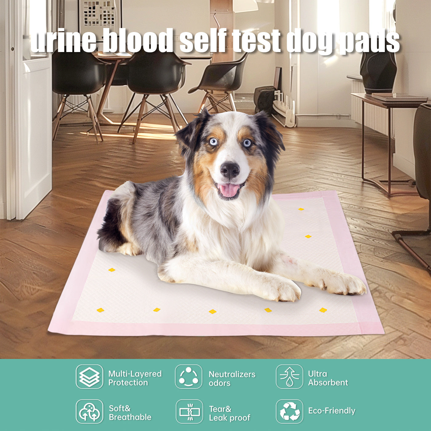 Dog Detection Urine Pad - NOMAN STORE LLC